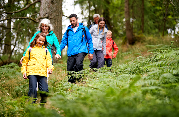 Personas adultas caminando por un sendero rodeado de árboles en un ambiente tranquilo